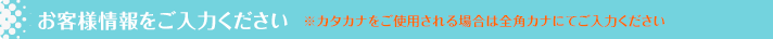 お客様情報をご入力ください